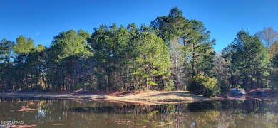 Lake Lot For Sale in Yemassee, South Carolina