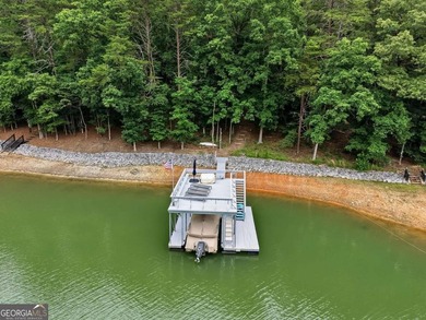 LAKE LANIER LIVING AT ITS FINEST! This beautifully renovated - photo 2