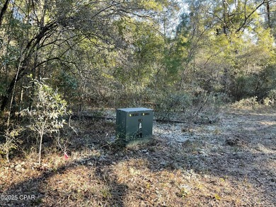 Price Reduced! Peace and Quiet at its finest. Beautiful Homesite - photo 3