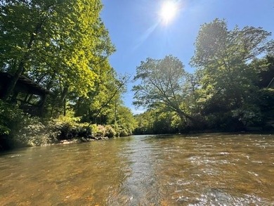 100+ FEET OF CHATTAHOOCHEE RIVER FRONTAGE AND A MODERN HOME TO - photo 6