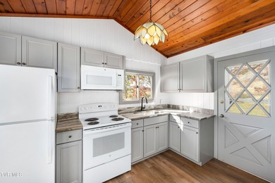 TWO NEWLY REMODELED HOMES FOR THE PRICE OF ONE! FIREPLACE - photo 45