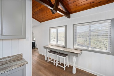 TWO NEWLY REMODELED HOMES FOR THE PRICE OF ONE! FIREPLACE - photo 46