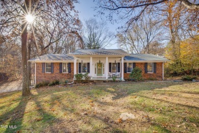 Holston River - Hawkins County Home For Sale in Mount Carmel Tennessee