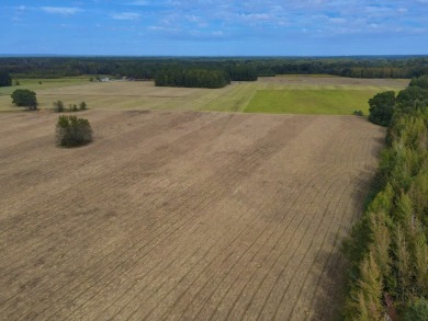 PREMIER TUSCALOOSA COUNTY HUNTING & RECREATIONAL PARADISE - photo 2