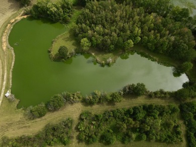 PREMIER TUSCALOOSA COUNTY HUNTING & RECREATIONAL PARADISE - photo 4