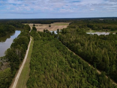 PREMIER TUSCALOOSA COUNTY HUNTING & RECREATIONAL PARADISE - photo 5