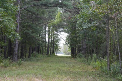PREMIER TUSCALOOSA COUNTY HUNTING & RECREATIONAL PARADISE - photo 8