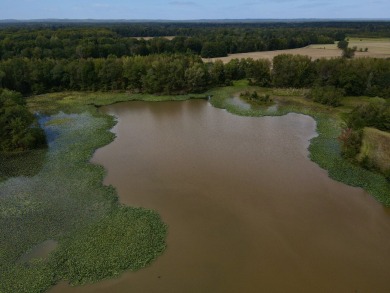 PREMIER TUSCALOOSA COUNTY HUNTING & RECREATIONAL PARADISE - photo 9