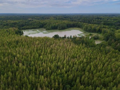 PREMIER TUSCALOOSA COUNTY HUNTING & RECREATIONAL PARADISE - photo 10