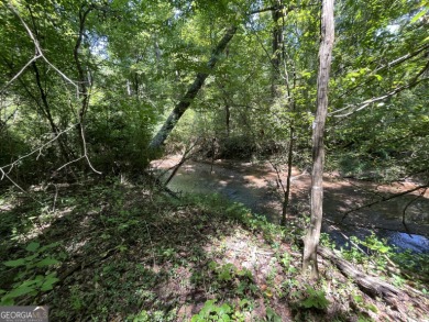 (private lake, pond, creek) Acreage For Sale in Hogansville Georgia