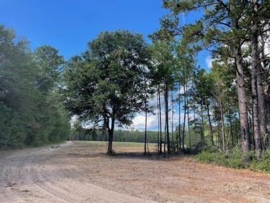 Lake Marion Acreage For Sale in Cross South Carolina