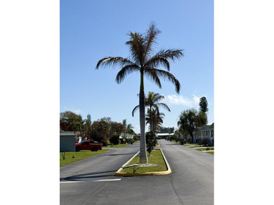 Beautiful 3-bedroom, 2-bath home sits in the popular 55+ - photo 20