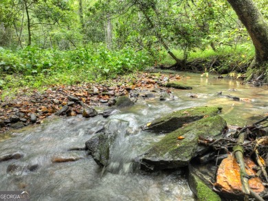 (private lake, pond, creek) Acreage For Sale in Mineral Bluff Georgia