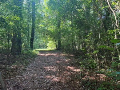Black Warrior River Lot For Sale in Sipsey Alabama