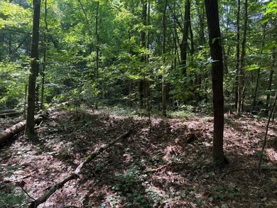 Discover the perfect spot to build your dream home or weekend - photo 3