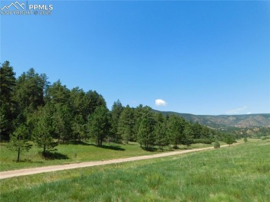 Waucondah Reservoir Lot For Sale in Larkspur Colorado