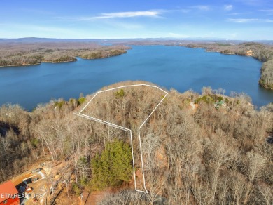 Lake Acreage For Sale in Ten Mile, Tennessee