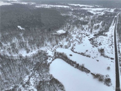 (private lake, pond, coastal) Acreage Sale Pending in Sinclairville New York
