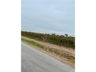 Moon Lake Acreage For Sale in Progreso Lakes Texas