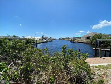 Rare Southern exposure GULF ACCESS WITH SEAWALL lot looking down - photo 3