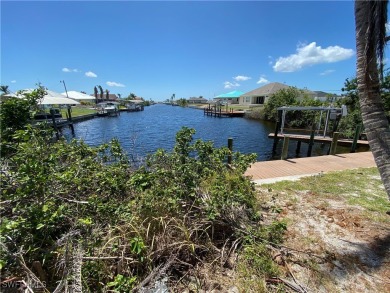Rare Southern exposure GULF ACCESS WITH SEAWALL lot looking down - photo 5