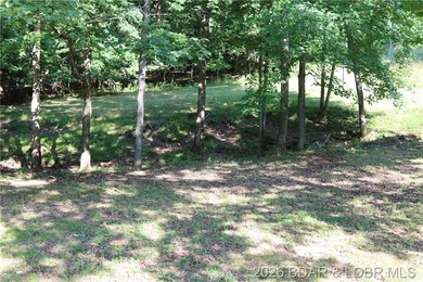 Inexpensive way to enjoy beautiful lake of the Ozarks. New - photo 6