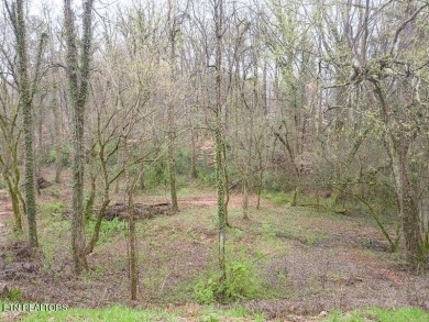 Fort Loudoun Lake Lot For Sale in Knoxville Tennessee