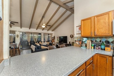 Single Level Main Home plus Detached Cottage in South Kihei - photo 12