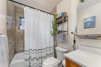 Single Level Main Home plus Detached Cottage in South Kihei - photo 20