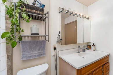 Single Level Main Home plus Detached Cottage in South Kihei - photo 21