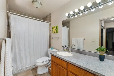Single Level Main Home plus Detached Cottage in South Kihei - photo 26