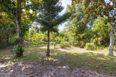 TRANQUIL, ONE-OF-A-KIND POOL HOME! This inviting 4-bedroom - photo 41