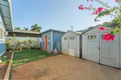 Single Level Main Home plus Detached Cottage in South Kihei - photo 47