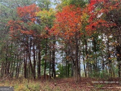 (private lake, pond, creek) Lot For Sale in Ranger Georgia