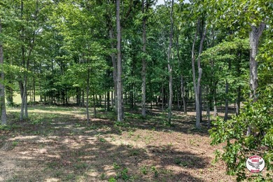 Positioned in a peaceful country setting near the city limits of - photo 28