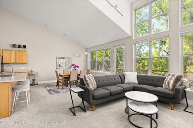 Willits Lake Townhome/Townhouse For Sale in Basalt Colorado