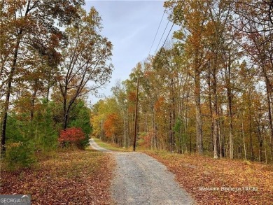 (private lake, pond, creek) Acreage For Sale in Ranger Georgia