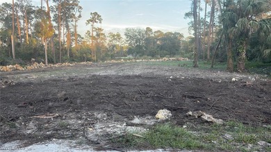 Lehigh Acres Area Lot For Sale in Alva Florida