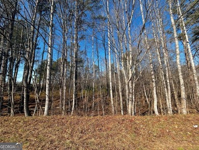 (private lake, pond, coastal) Acreage For Sale in Villa Rica Georgia