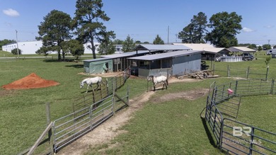 Rare 17.638+/- acre residential/agricultural opportunity in - photo 29