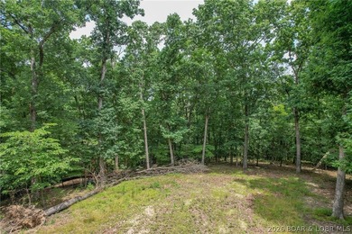1.62-acre wooded lot in the sought-after Four Seasons community - photo 4