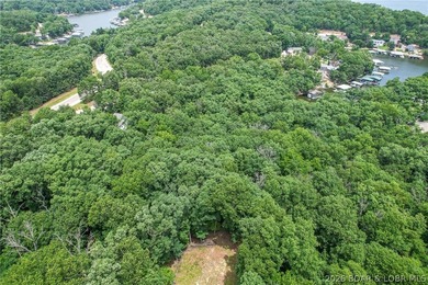 1.62-acre wooded lot in the sought-after Four Seasons community - photo 7