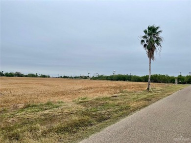 Moon Lake Acreage For Sale in Progreso Lakes Texas