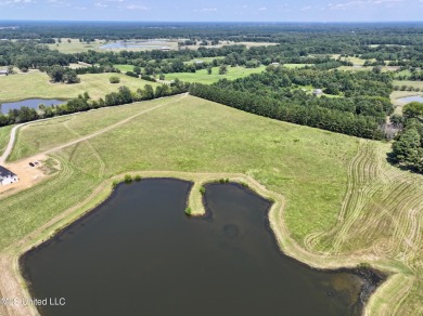 Lake Acreage For Sale in Flora, Mississippi