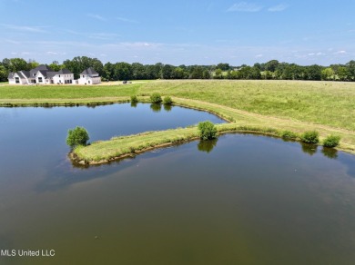 (private lake, pond, creek) Acreage For Sale in Flora Mississippi