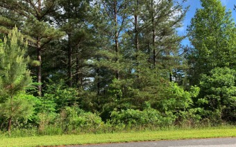 NORTH GEORGIA MOUNTAIN LAND! Located in a very nice subdivision - Lake Lot For Sale in Blairsville, Georgia