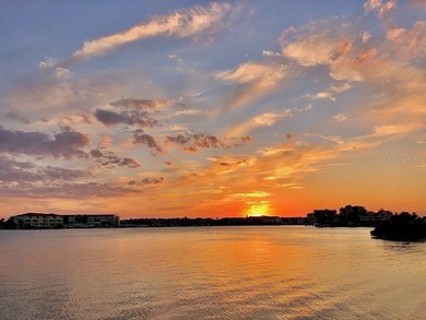 This is a well maintained waterfront unit in Harbourside Condos - photo 44