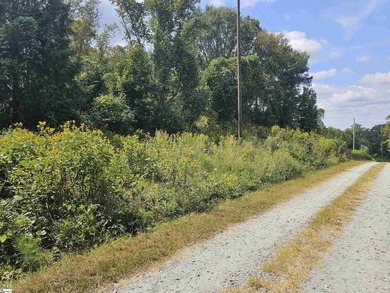 Lake Greenwood Lot Active Under Contract in Waterloo South Carolina