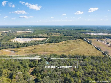 Back on market at no fault to the seller. Explore the potential - photo 4