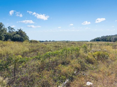 Back on market at no fault to the seller. Explore the potential - photo 6